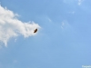 heideflieger316